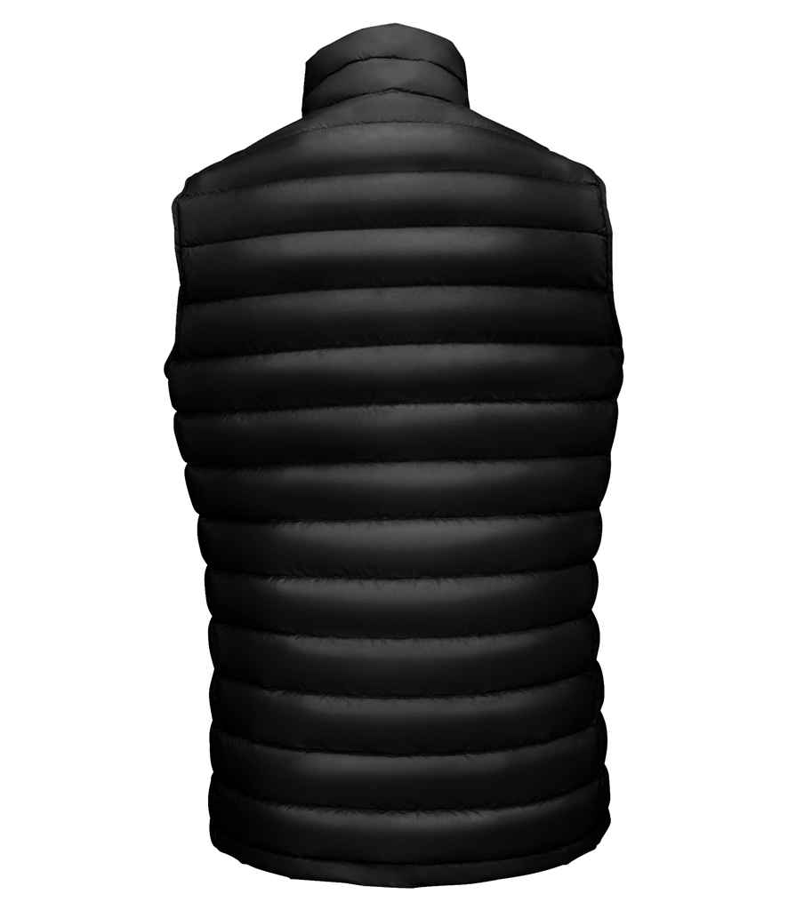 Back View