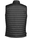 Back View