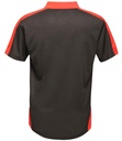 Back View