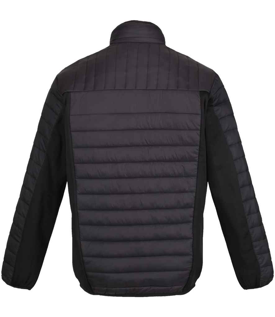 Back View