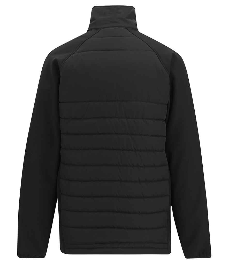 Back View
