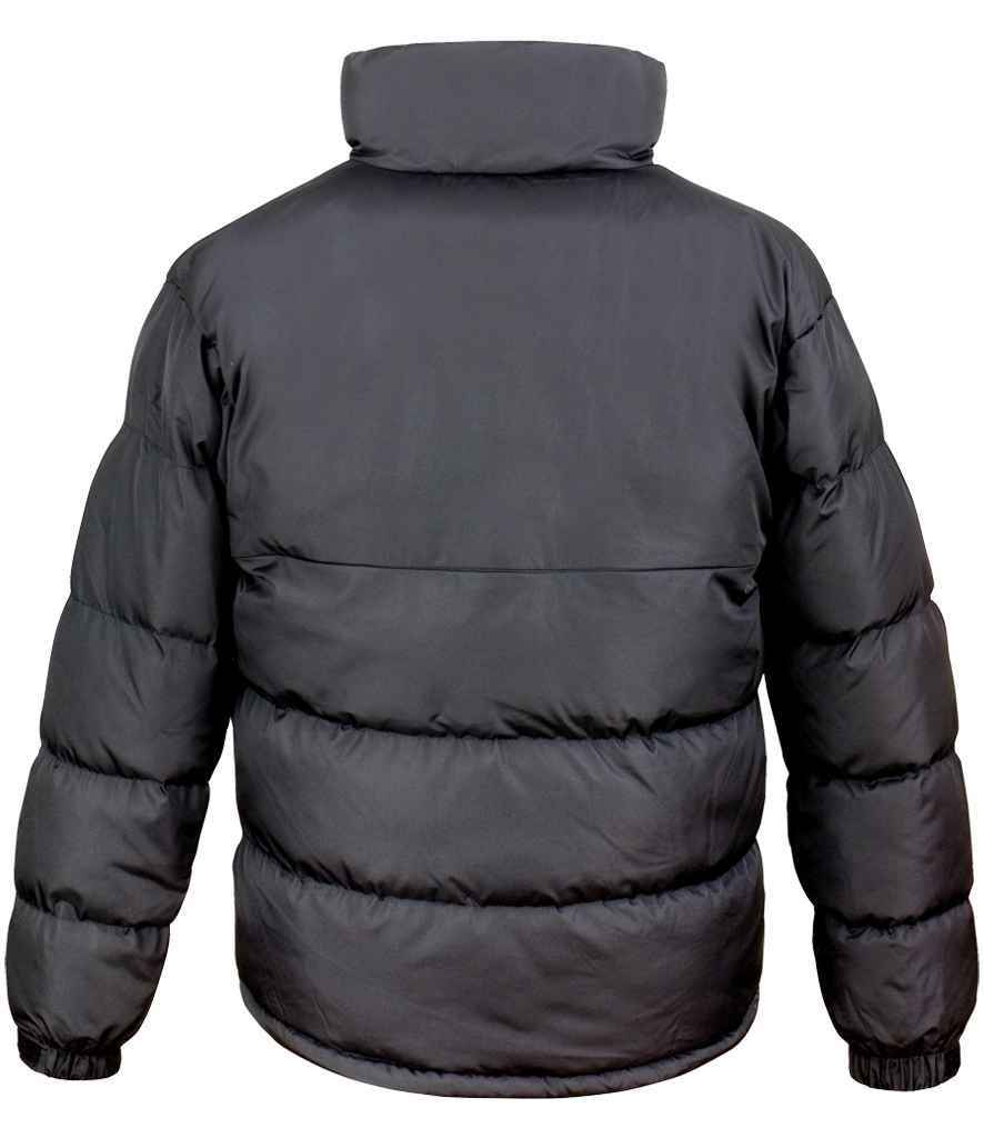 Back View