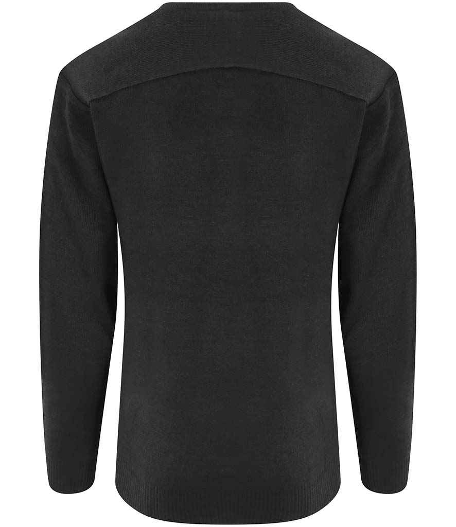 Back View