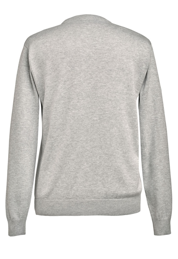boston---7818g---silver---back.jpg