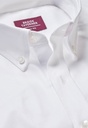 whistler-collar-detail.jpg