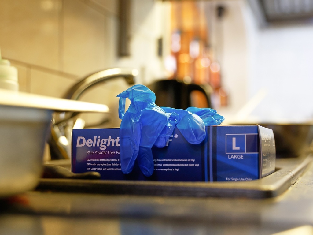 [W-GDVS/3899] Delight Blue Vinyl Gloves P/Free (pack of 100) (Small)