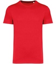 Native Spirit Unisex Heavyweight T-Shirt