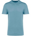 Native Spirit Unisex Crew Neck IC T-Shirt