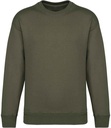 Native Spirit Unisex Oversized Sweatshirt