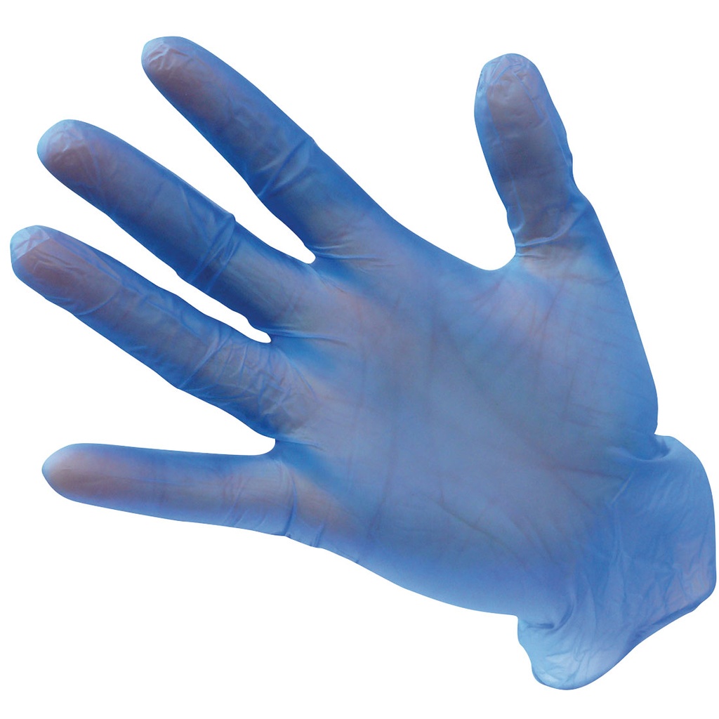 [A905BLUM] Powder Free Vinyl Disposable Glove (Pk100)