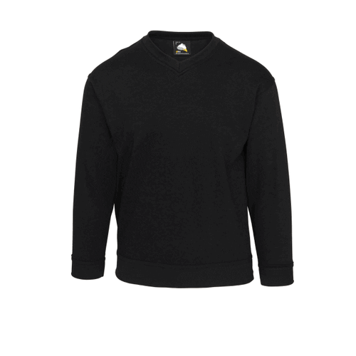 Buzzard V-Neck Sweatshirt