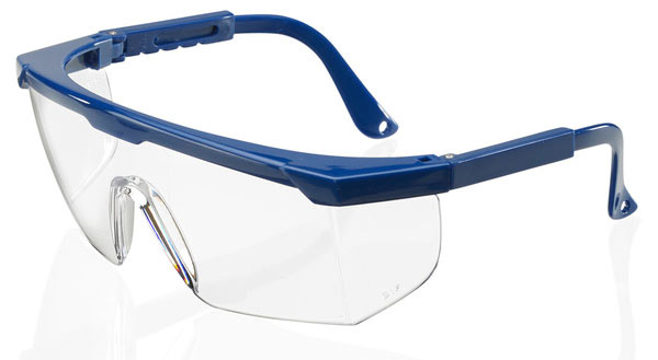 Beeswift Portland Safety Glasses