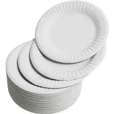 6” Paper Disposable Plates - 1000 pack